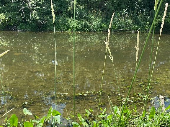 2nd image of (Undisclosed Address)