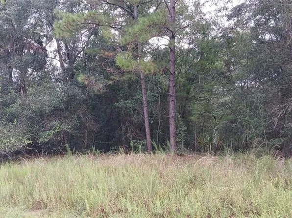 1623 E IVYDALE DRIVE LOT 25, CITRUS SPRINGS, FL 34434