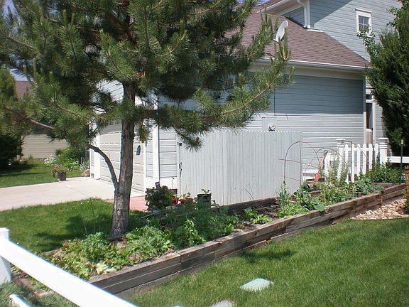 Organic soil veg garden