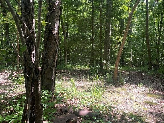 4th image of 12094 Park Forest Trce