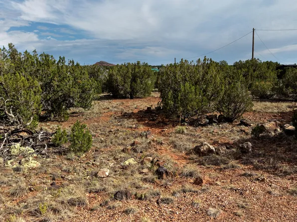 8577 Cannon Blvd, Show Low, AZ 85901