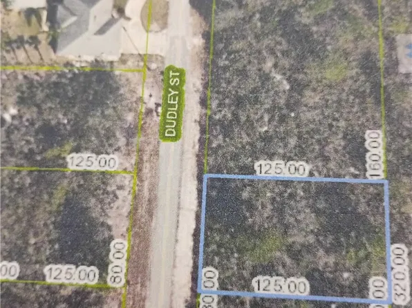1107 Ramiro St, Lake Placid, FL 33852