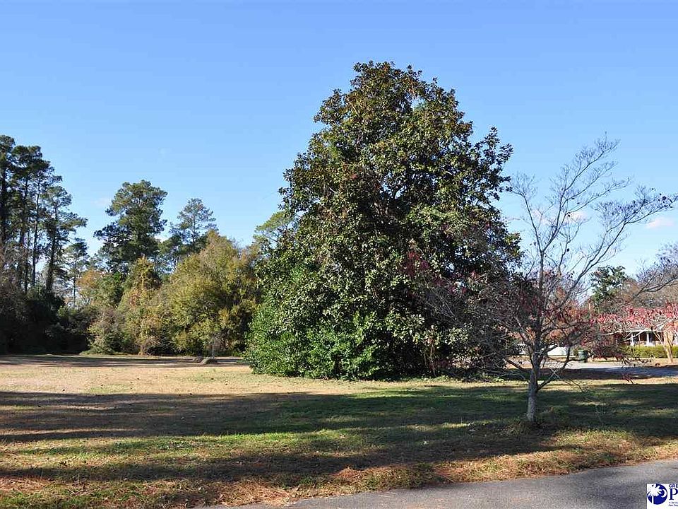 2nd image of 911 Dogwood Dr