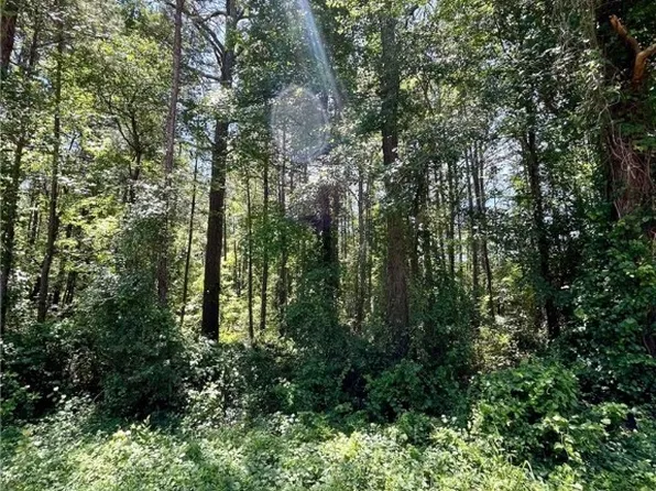 Horseshoe Bend Rd, Erwin, NC 28339