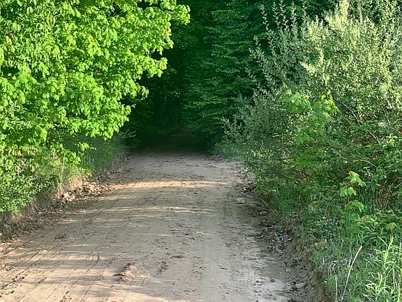 5th image of 0 Bliss Rd