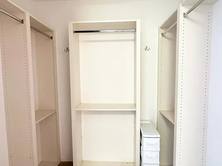 Primary master closet