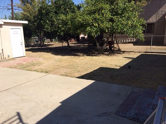 back yard