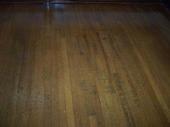 4th image of 4440 Floriss Pl