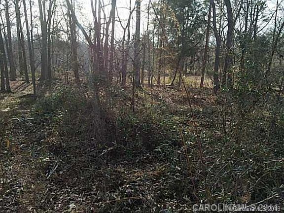 5th image of 142 Treetop Ln