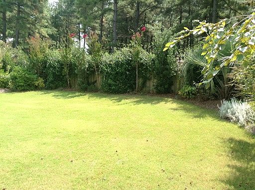 3rd image of 1050 Garden Club Way
