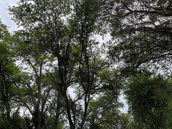 2nd image of LOT 15 Ananas Rd