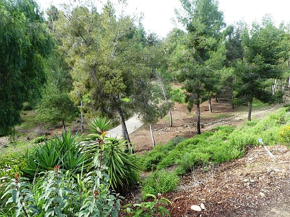 4th image of 11205 Promesa Dr