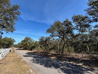 0 Black Bear Ln, Winter Garden, FL, 34787