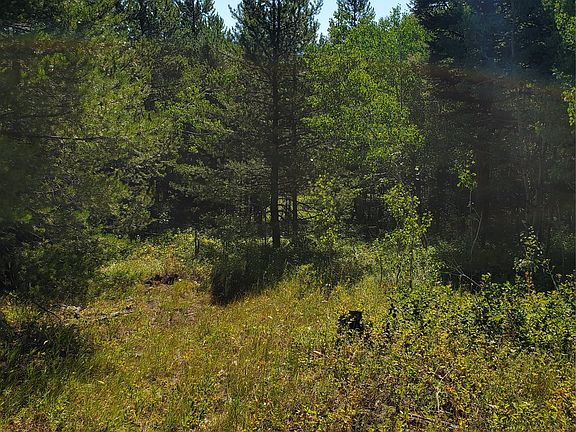 5th image of No Known 2 Bear Springs Rd