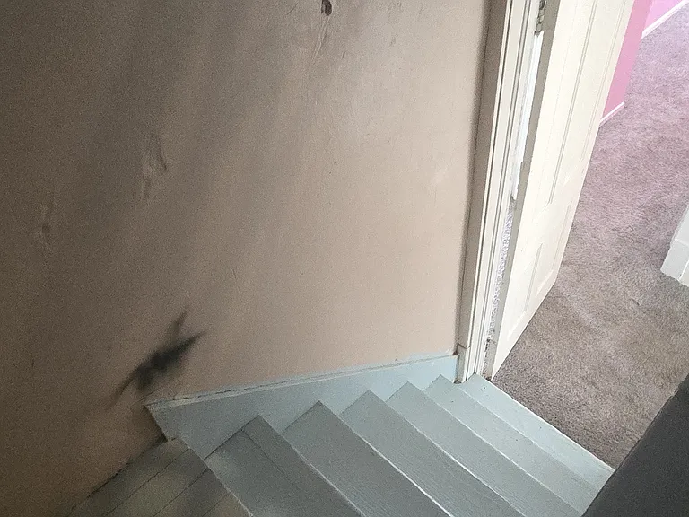 Stairs to Attic