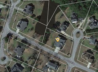 19 Moreton Dr N, Richmond Hill, GA 31324