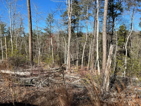 0 Opossums Rd #123, Lake Lure, NC 28746