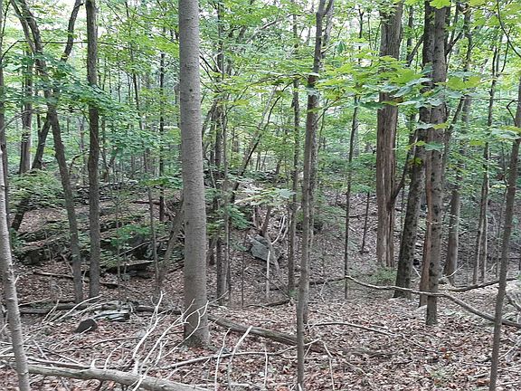 5th image of 58 Forest Dr #0