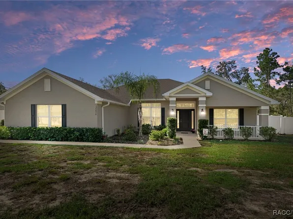 12230 Pine Finch Ave, Weeki Wachee, FL 34614