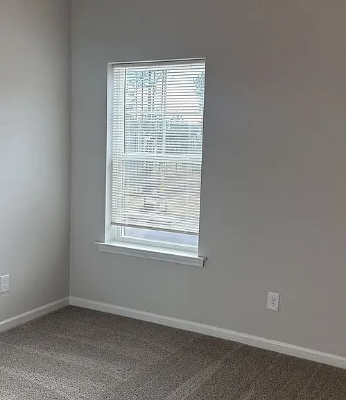 970 Laurel Cove Dr — Photo 12
