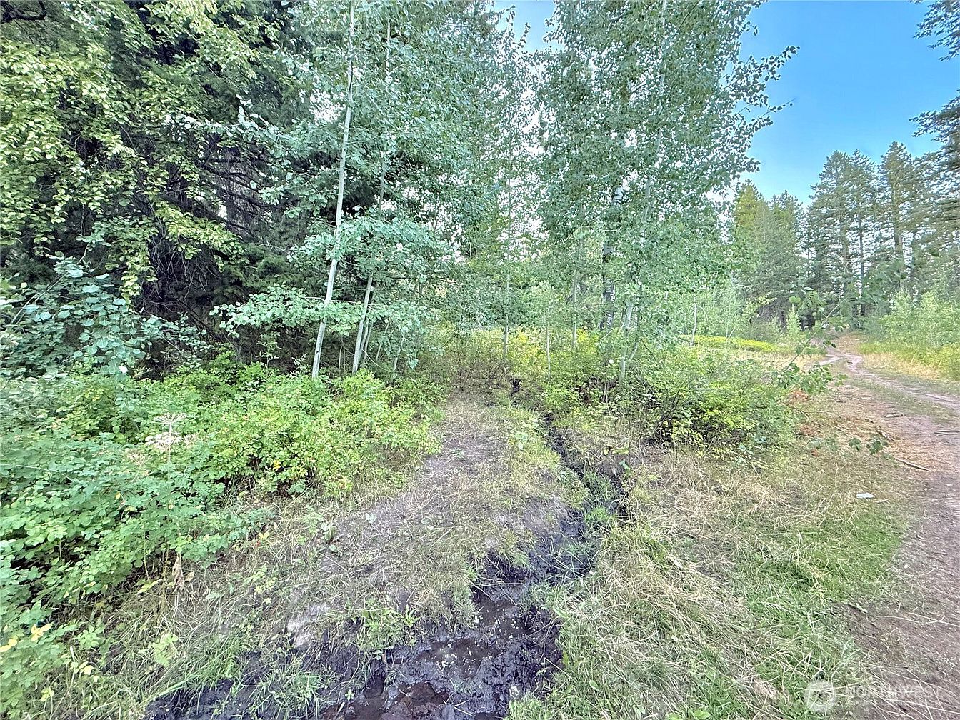 1st image of 0 TBD Buzzard Lake Road