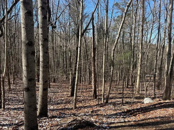 16 Deer Run Rd, Blairsville, GA 30512