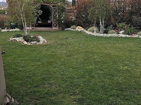Large back yard