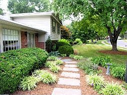 Landscaped Yard