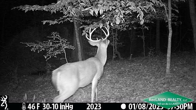 1st image of 0 Platt Rd