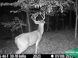 0 Platt Rd, Marion, LA 71260