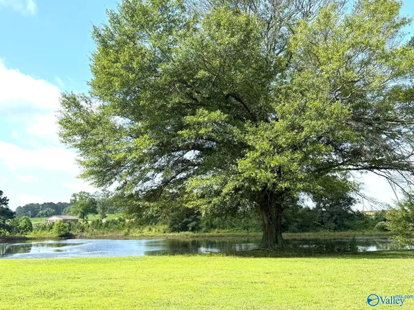 2026B Edmondson St, Albertville, AL 35950