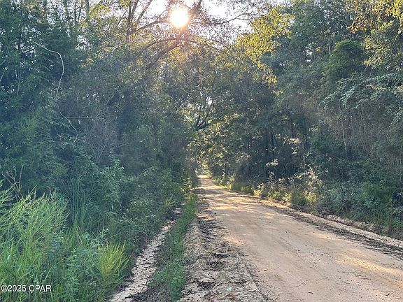 2nd image of TRACT 6201 Doyle Morgan Rd