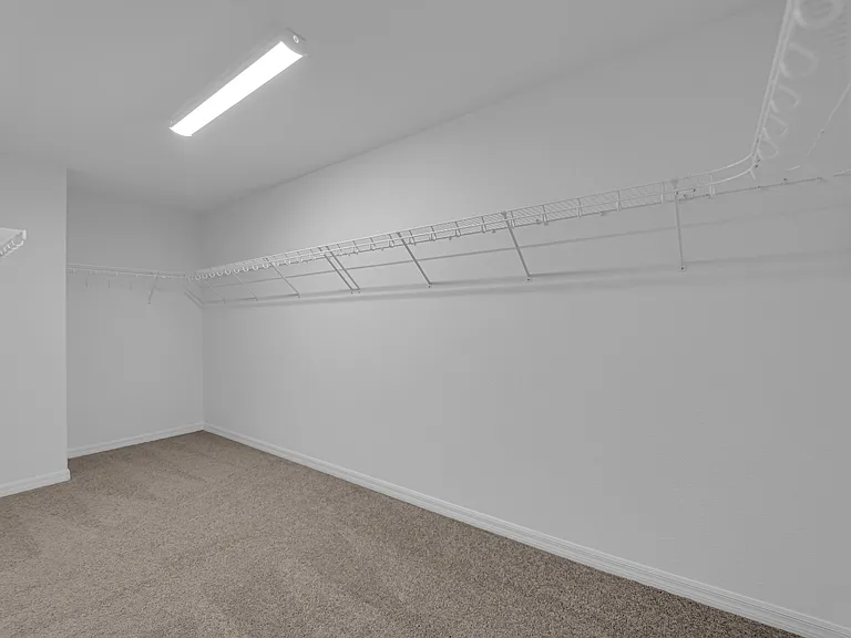 10462 Emerald Rye St — Photo 23