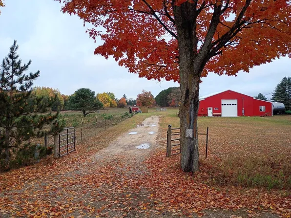 6154 Satterly Lake Rd, Mancelona, MI 49659