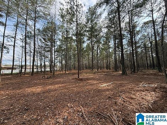 3rd image of 10 Club House Rd #10