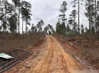 22059 State Highway 154, Diana, TX 75640