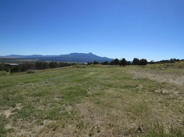 16516 County Road 71.1, Trinidad, CO 81082