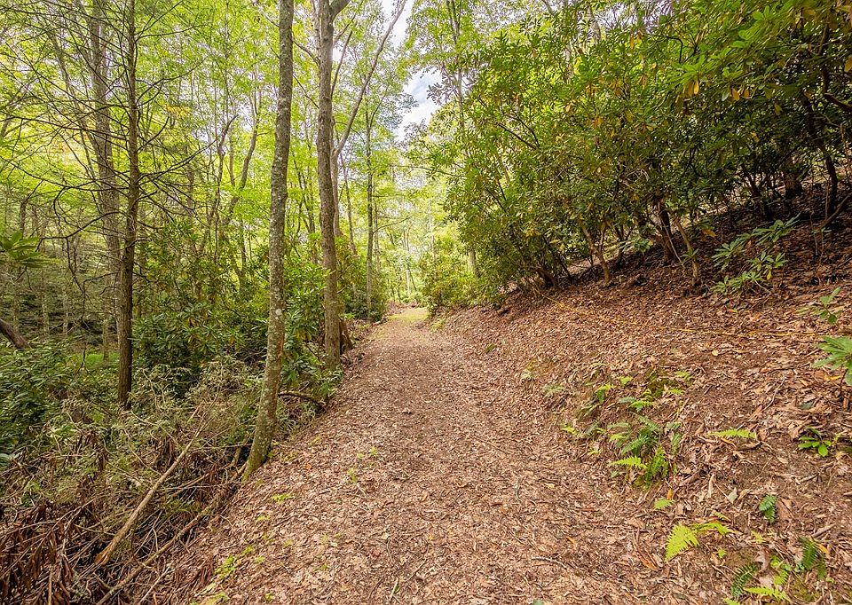 Genes Ln, Bland, VA 24315 MLS 89338 Zillow