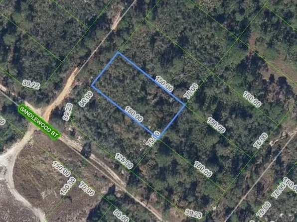 203 Harcourt Ave, Lake Placid, FL 33852