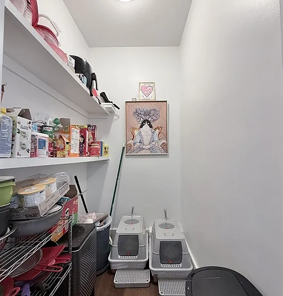 38 Woodford St #2 — Photo 12