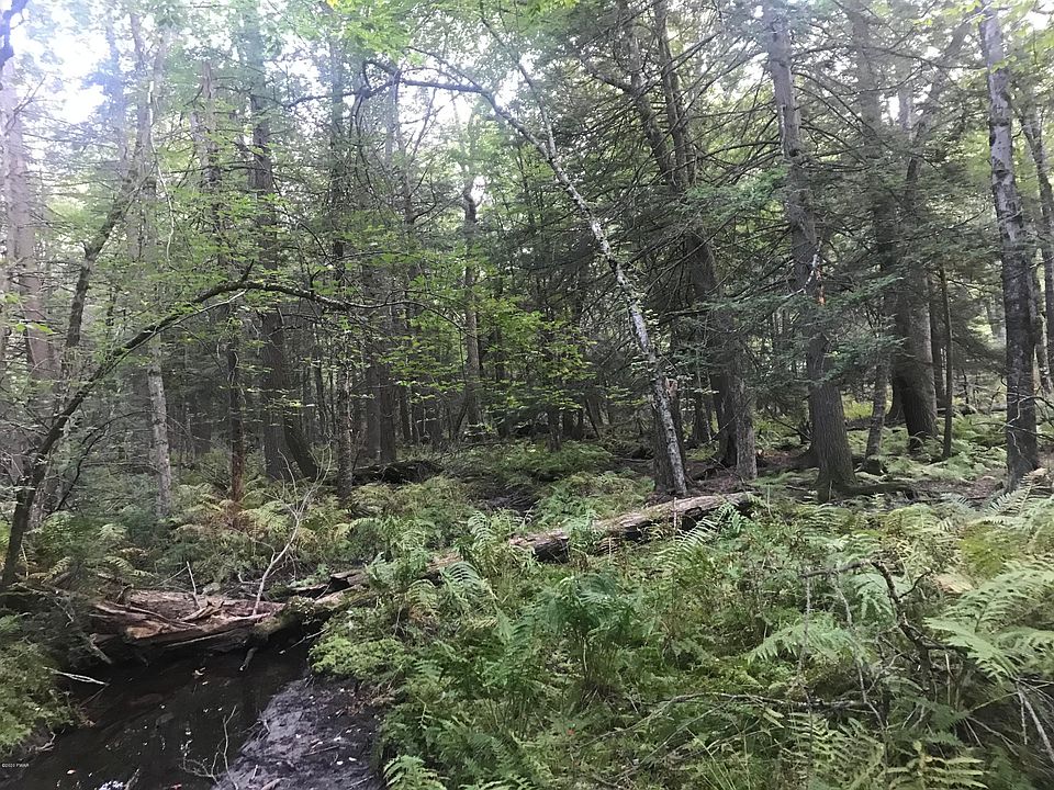 2nd image of 365 Little Walker Rd