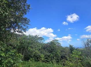 1 Bo Hayales, Coamo, PR 00769