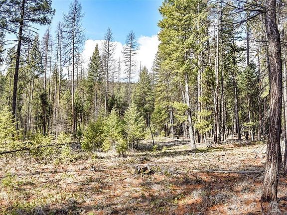 2nd image of 1A Meadow Springs Rd