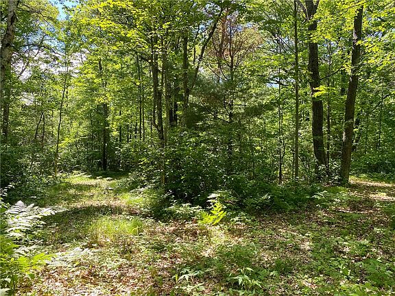 2nd image of 0 Hwy CC