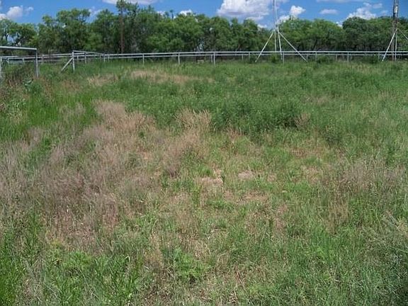 5th image of 1001 County Road 126