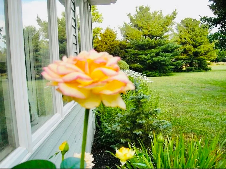 254 Mullica Hill Rd #MULLICA HILL — Photo 13