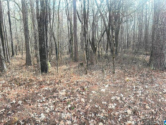 4th image of 0 Walkers Crossing Rd #0