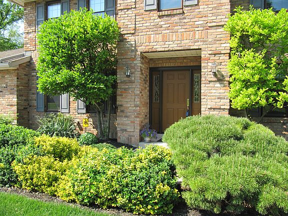 Nice landscaping
