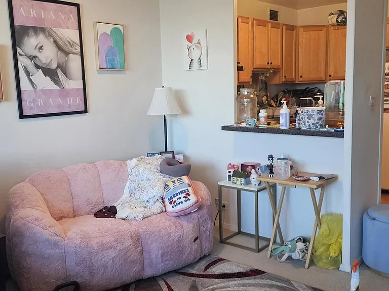 555 W Cornelia Ave #809 — Photo 7