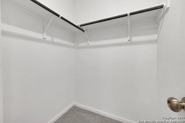5014 Botanic Trl — Photo 19